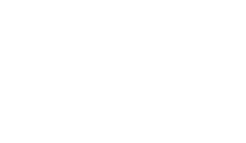 DetailCraft Lab OÜ logo