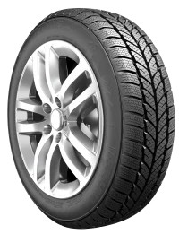 245/70R16 107T RXFROST WH01 RoadX thumbnail