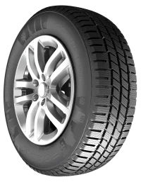 205/70R15C 106/104S FROST WC01 RoadX thumbnail