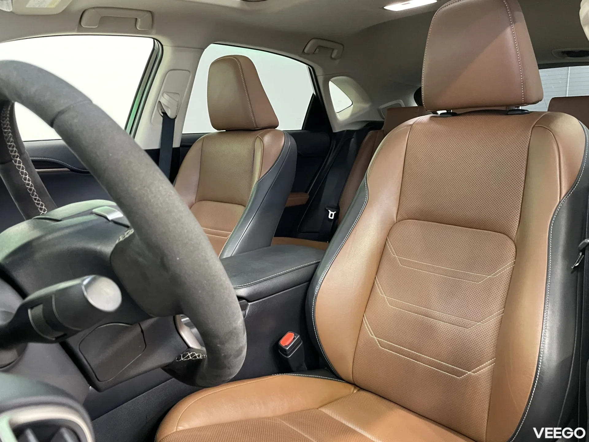 Lexus NX 300h AWD Luxury 114kW