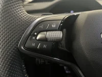 Skoda Enyaq 85x RS / 250kW / 84kWh / 4x4 77kW thumbnail