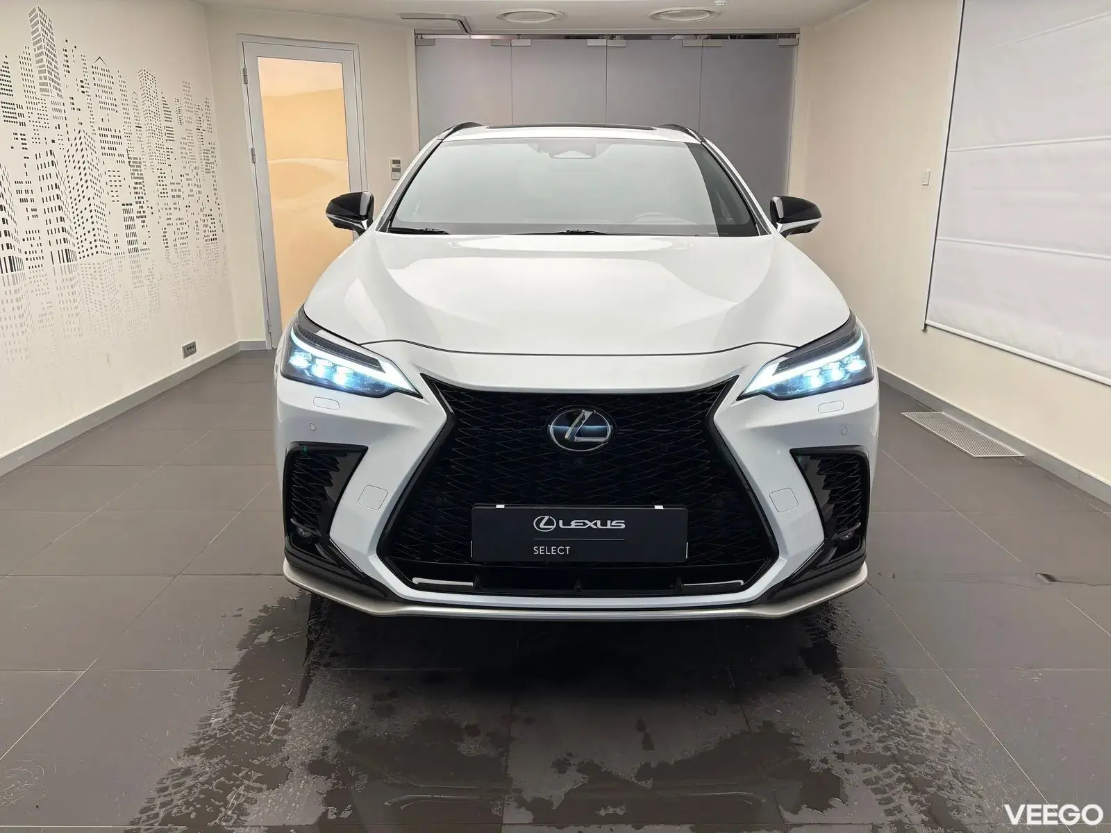 Lexus NX 450h+ - 224kW