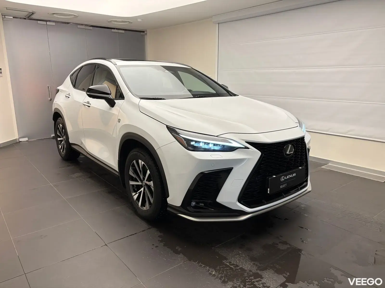 Lexus NX 450h+ - 224kW