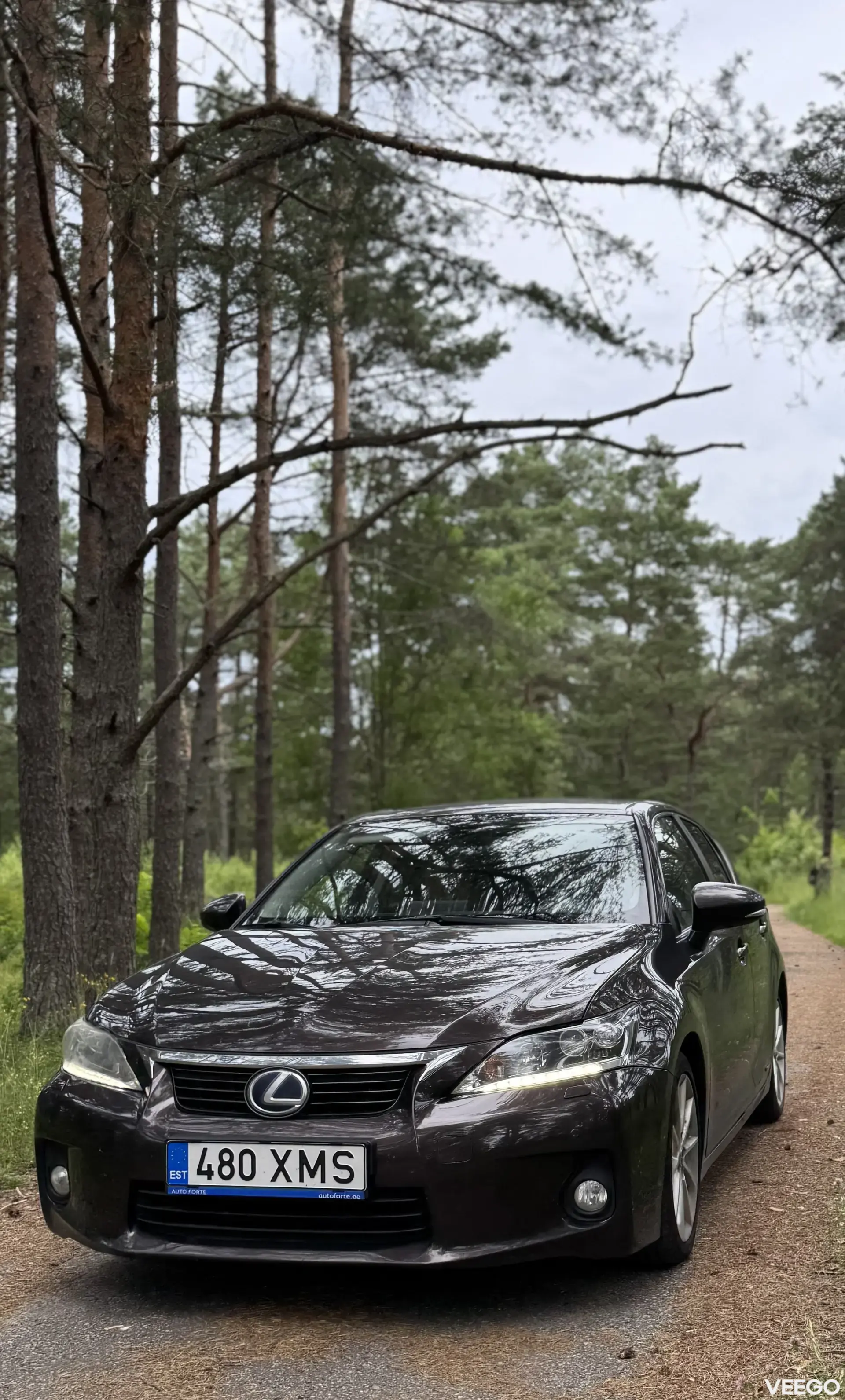 Vehicle Image