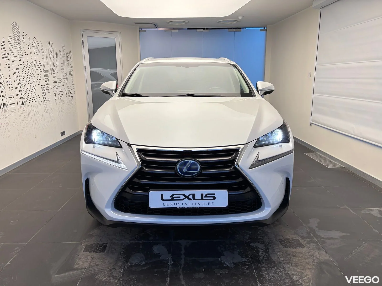 Lexus NX 300h - 145kW