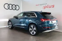 Audi e-tron 55 158kW thumbnail
