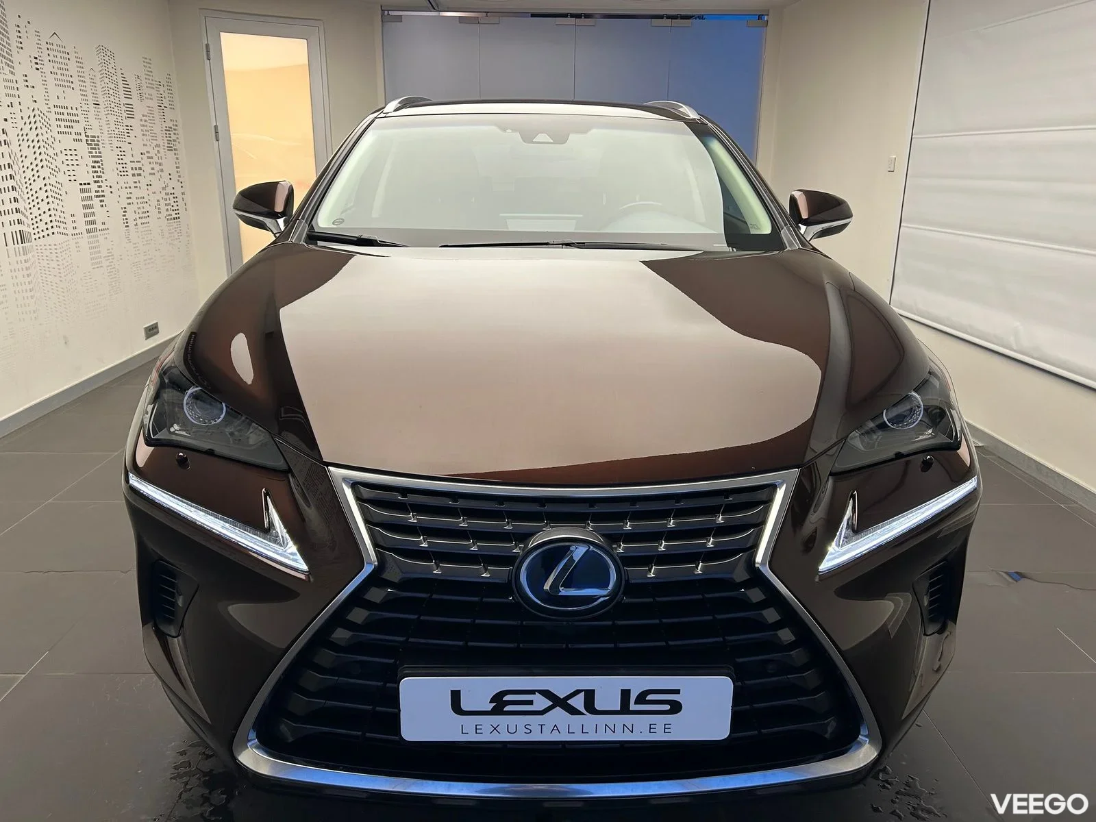 Lexus NX 300h - 114kW