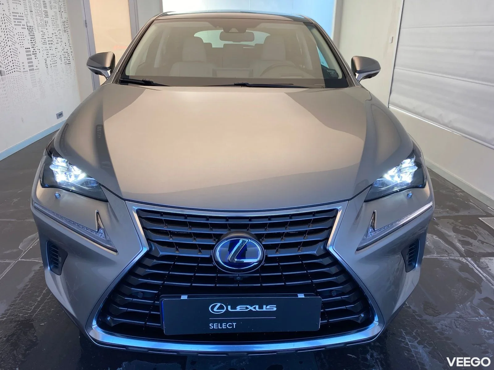 Lexus NX 300h - 114kW