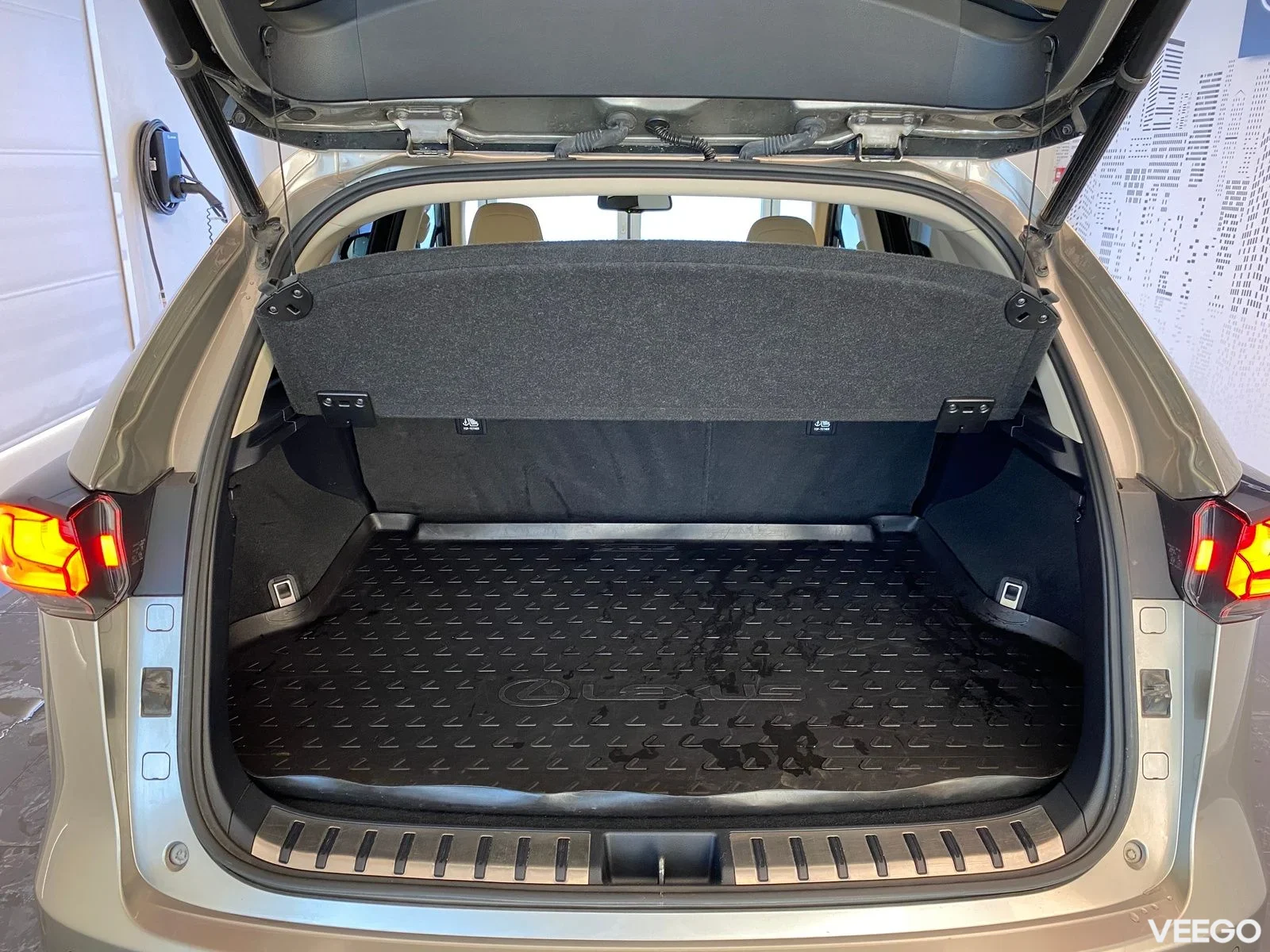 Lexus NX 300h - 114kW