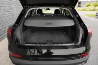 Audi e-tron 230kW thumbnail