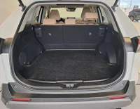 Toyota RAV4 131kW thumbnail