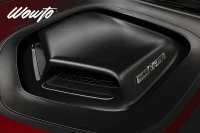 Dodge Challenger R/T 5.7 V8 Hemi 381HK Shaker /Alpine /4.95% 280kW thumbnail