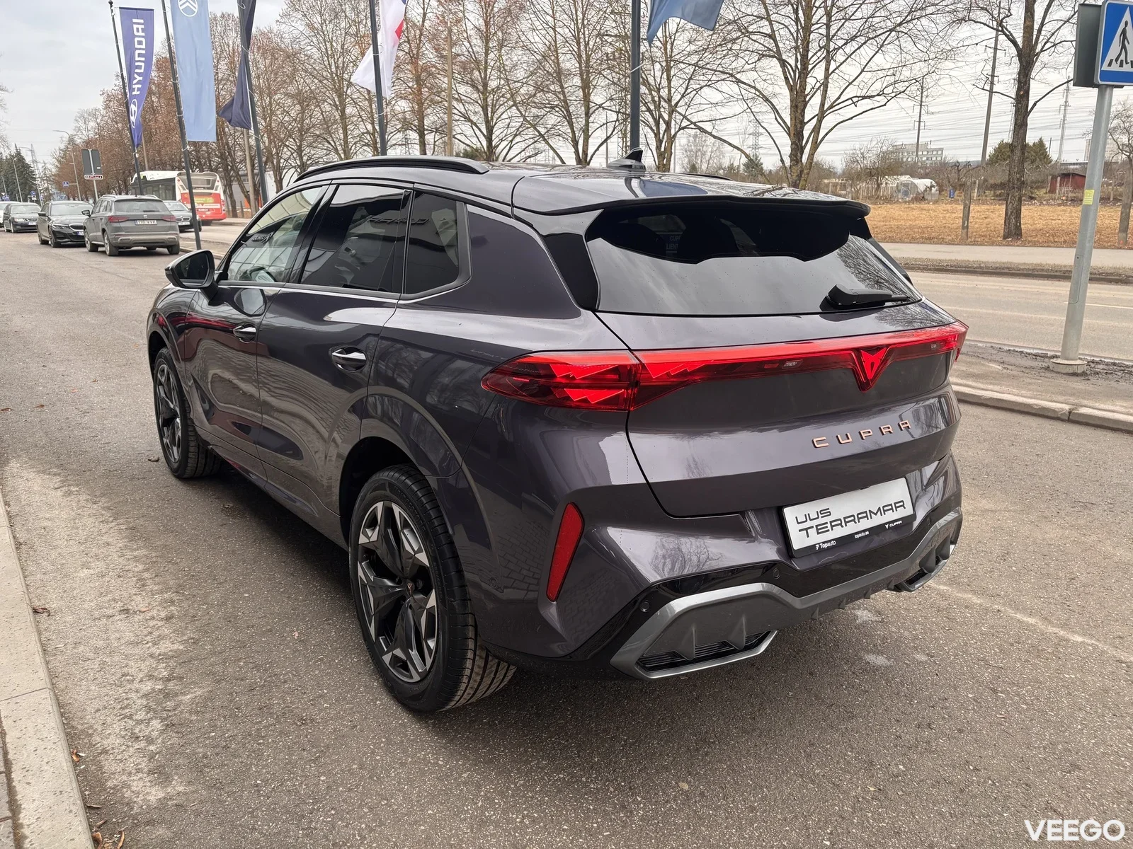 Cupra Terramar 2 195kW