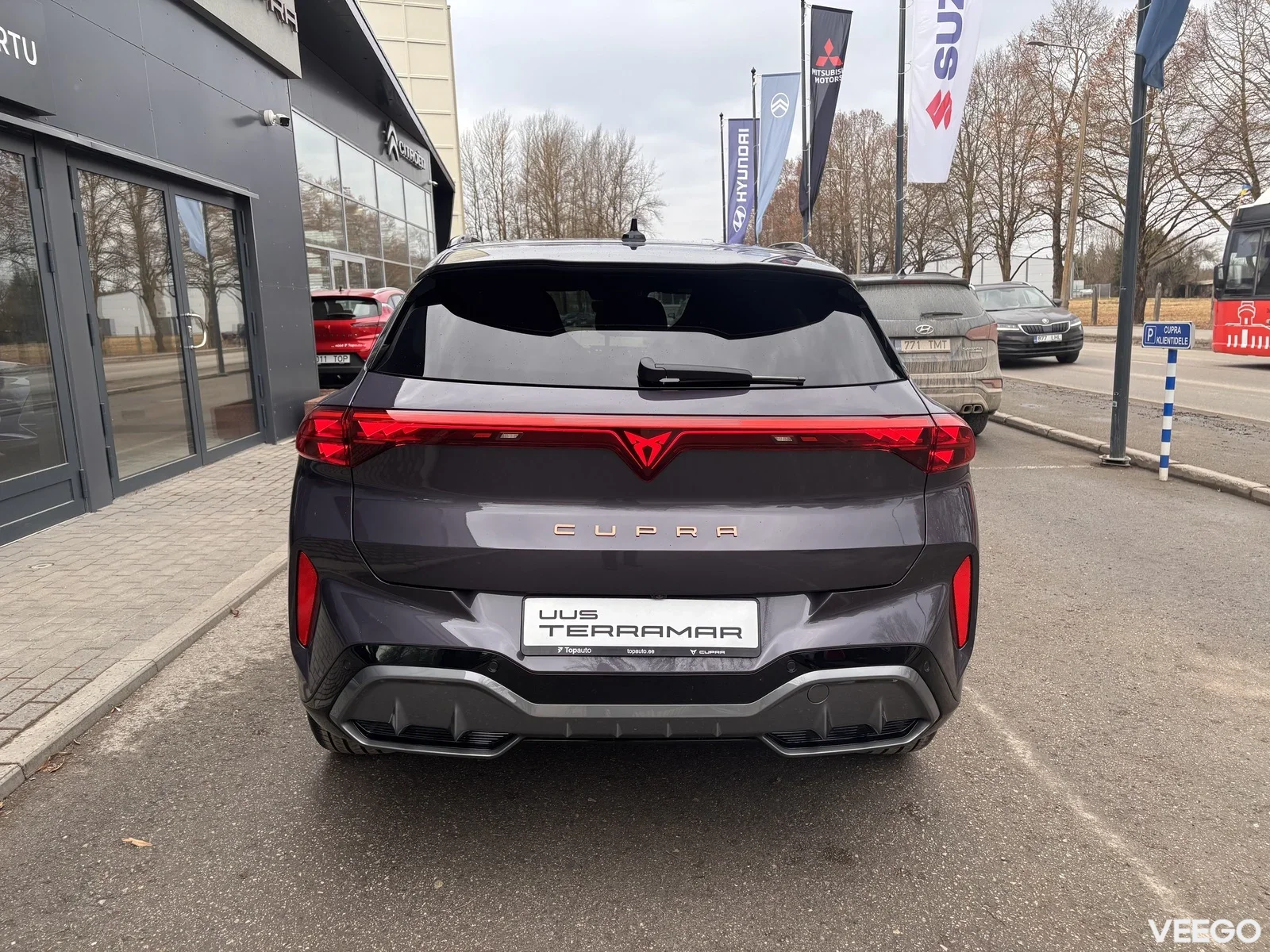 Cupra Terramar 2 195kW