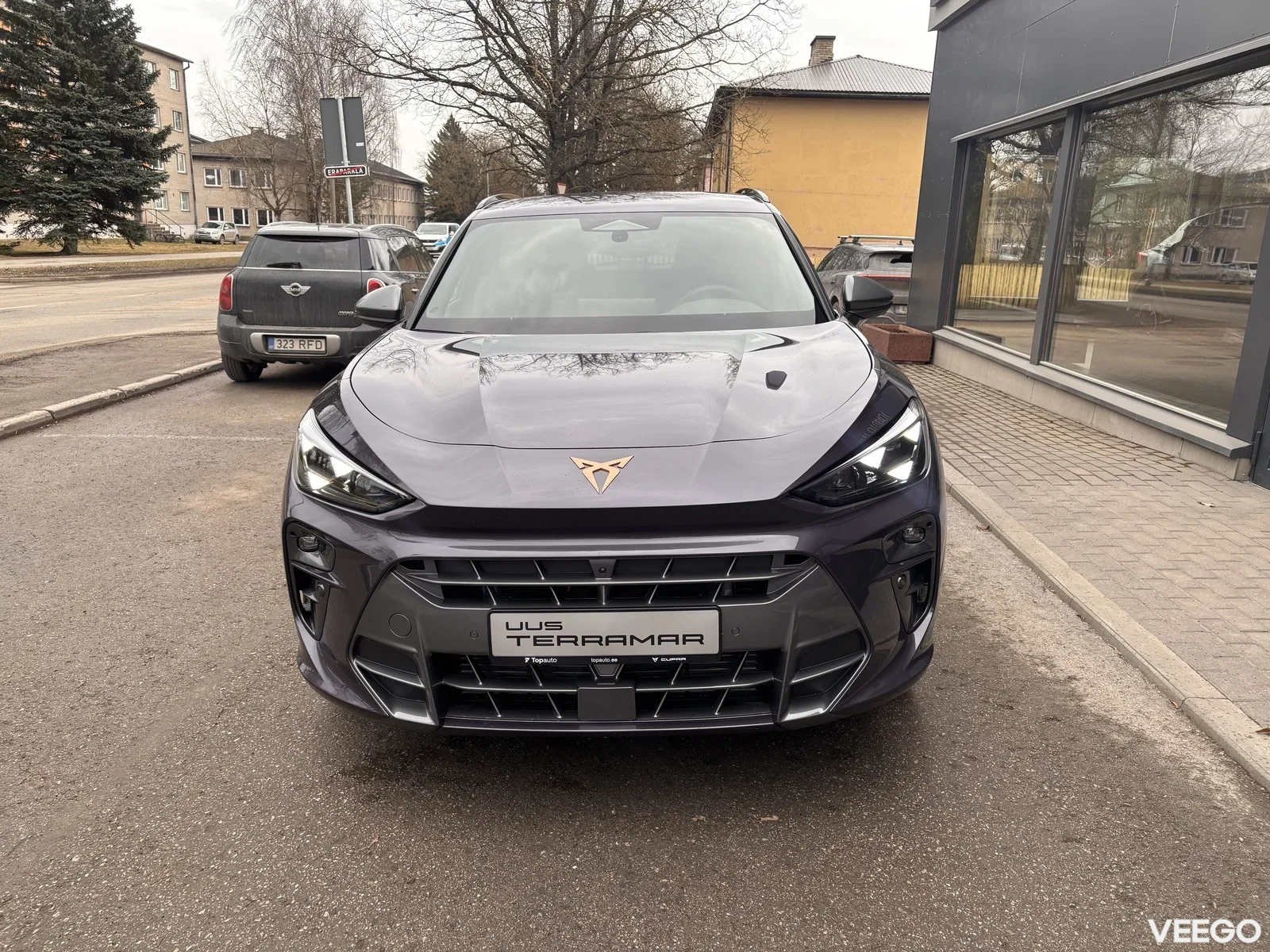 Cupra Terramar 2 195kW