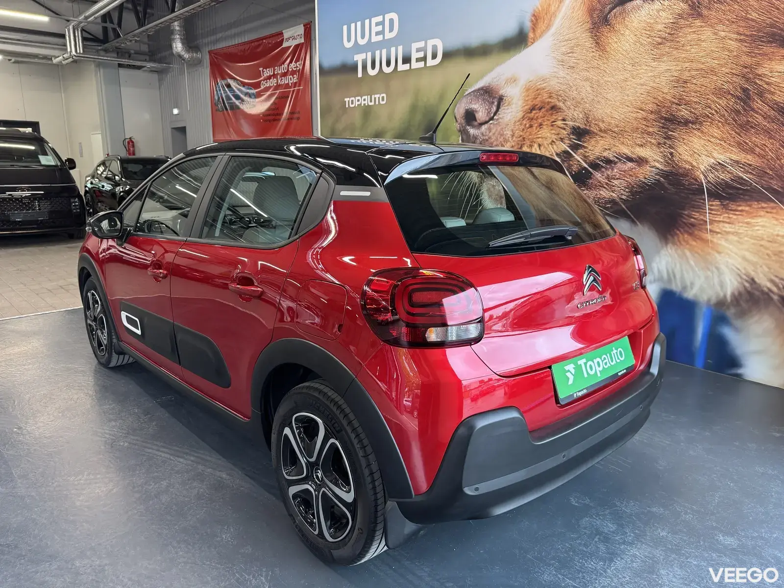 Vehicle Image