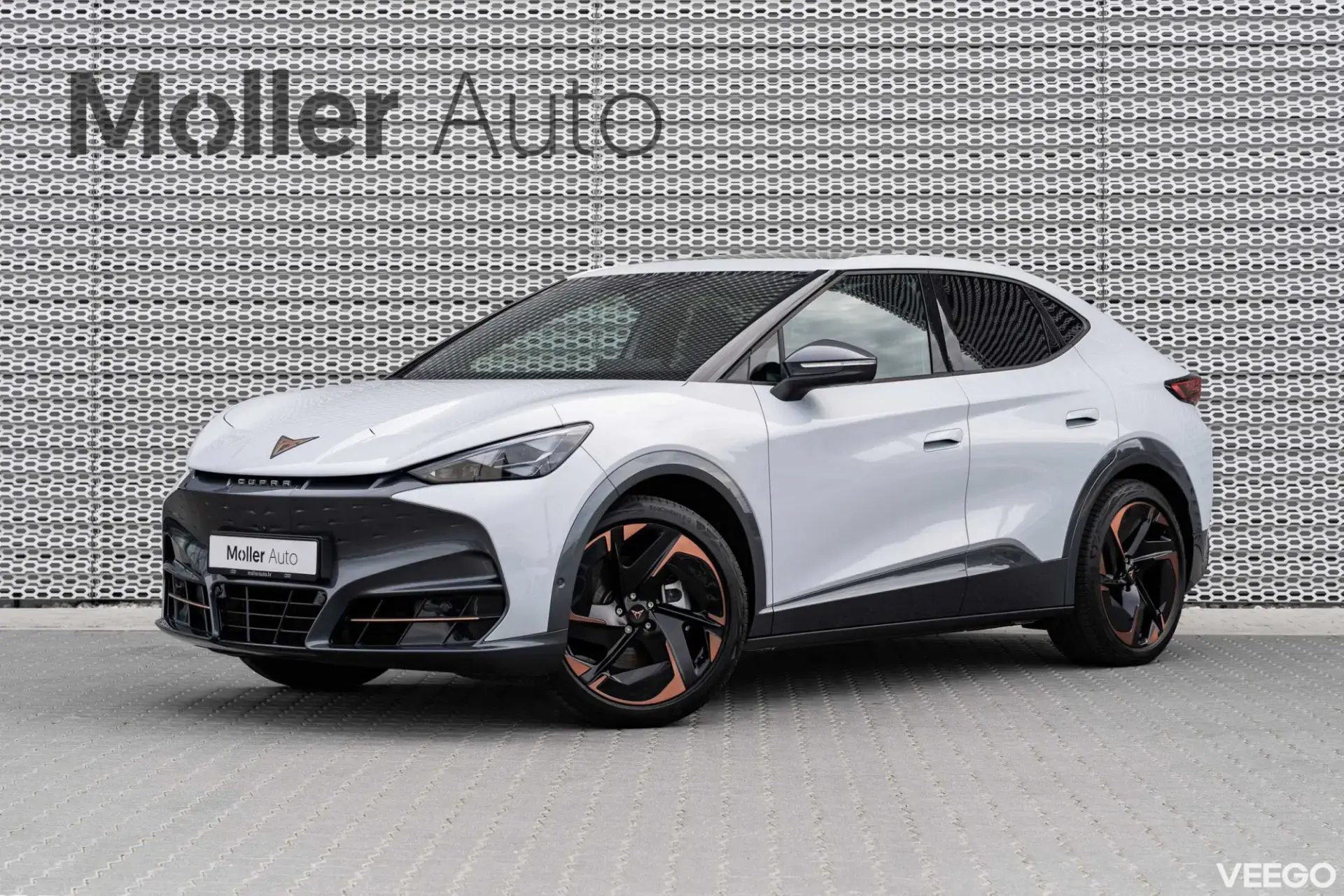 Cupra Tavascan 250kW