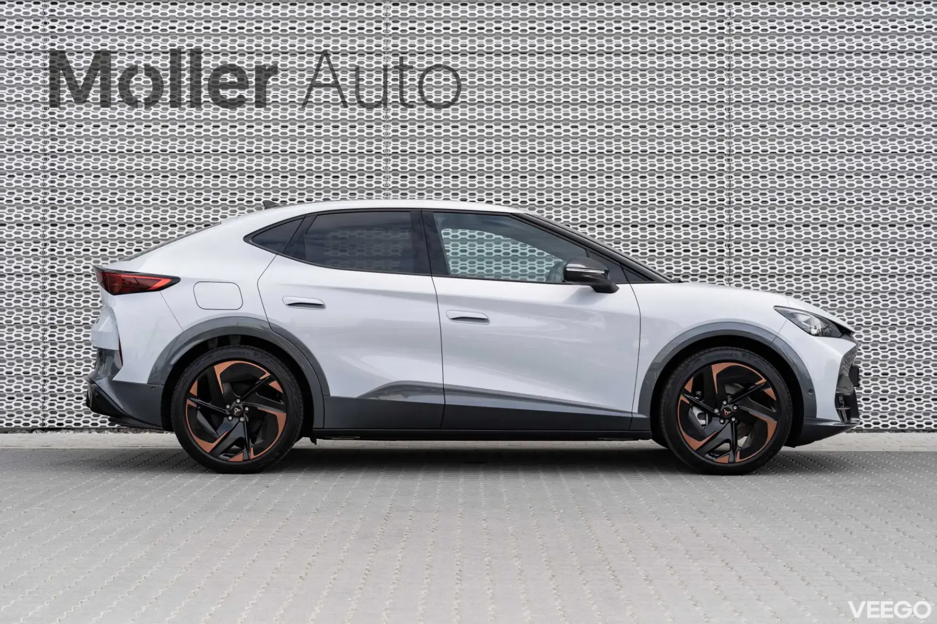 Cupra Tavascan 250kW