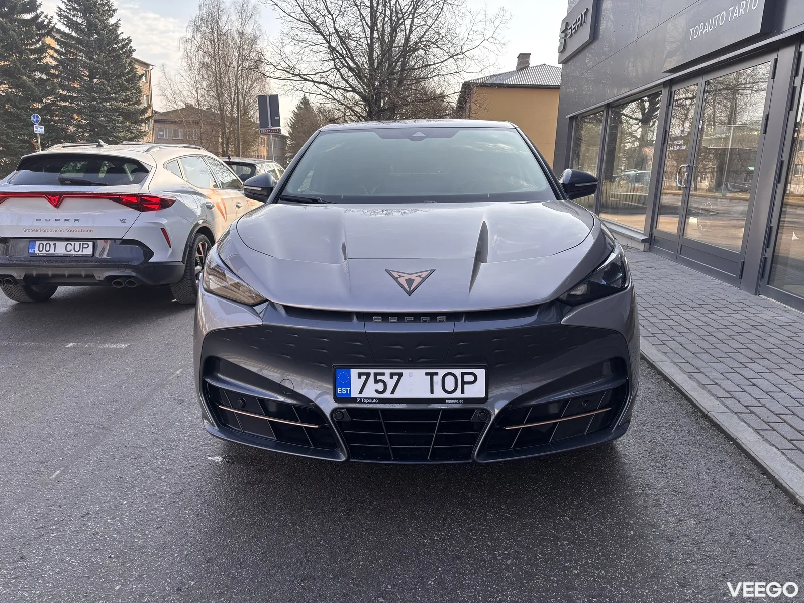 Cupra Tavascan 77kW
