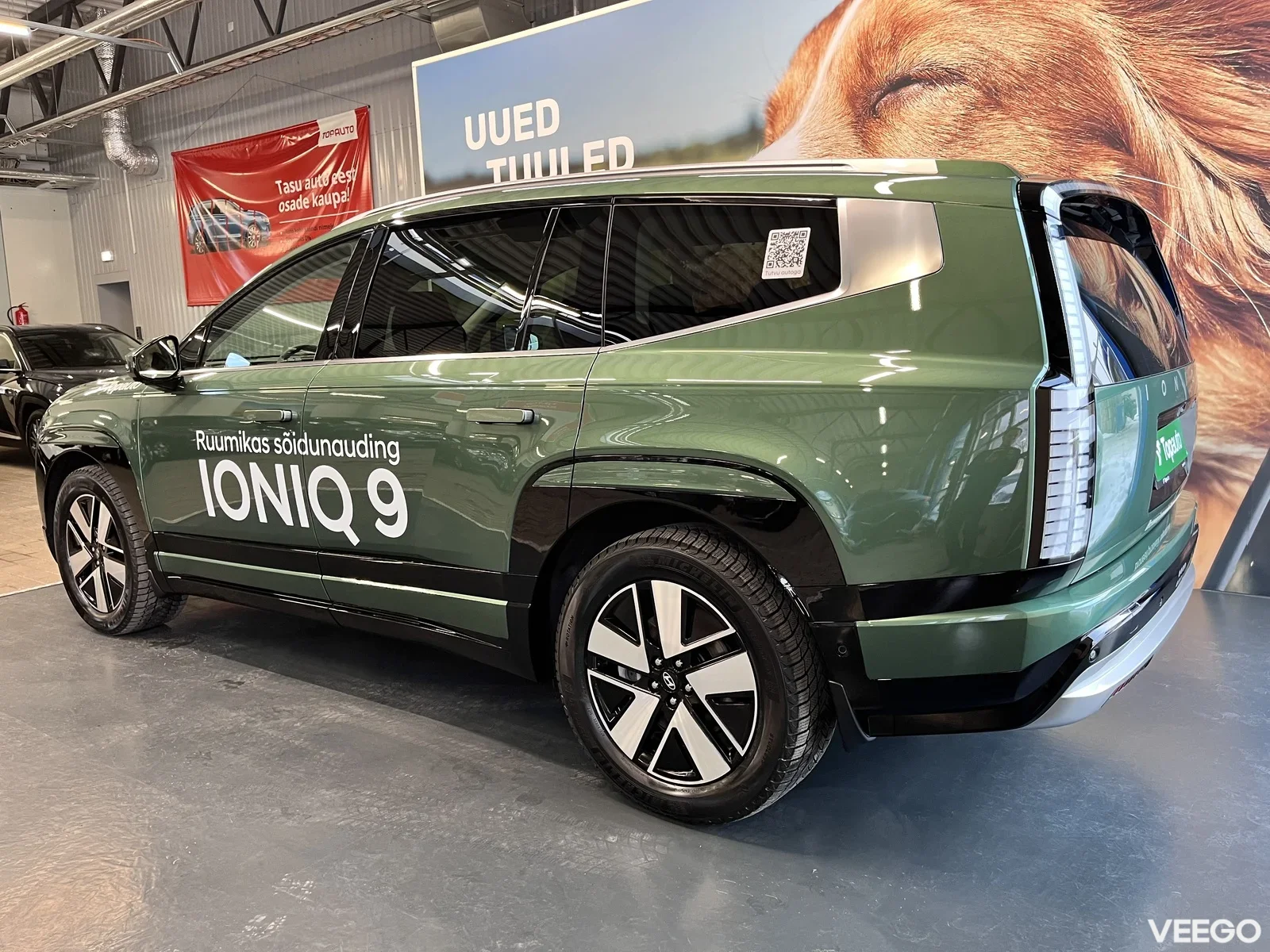 Hyundai IONIQ 9 226kW