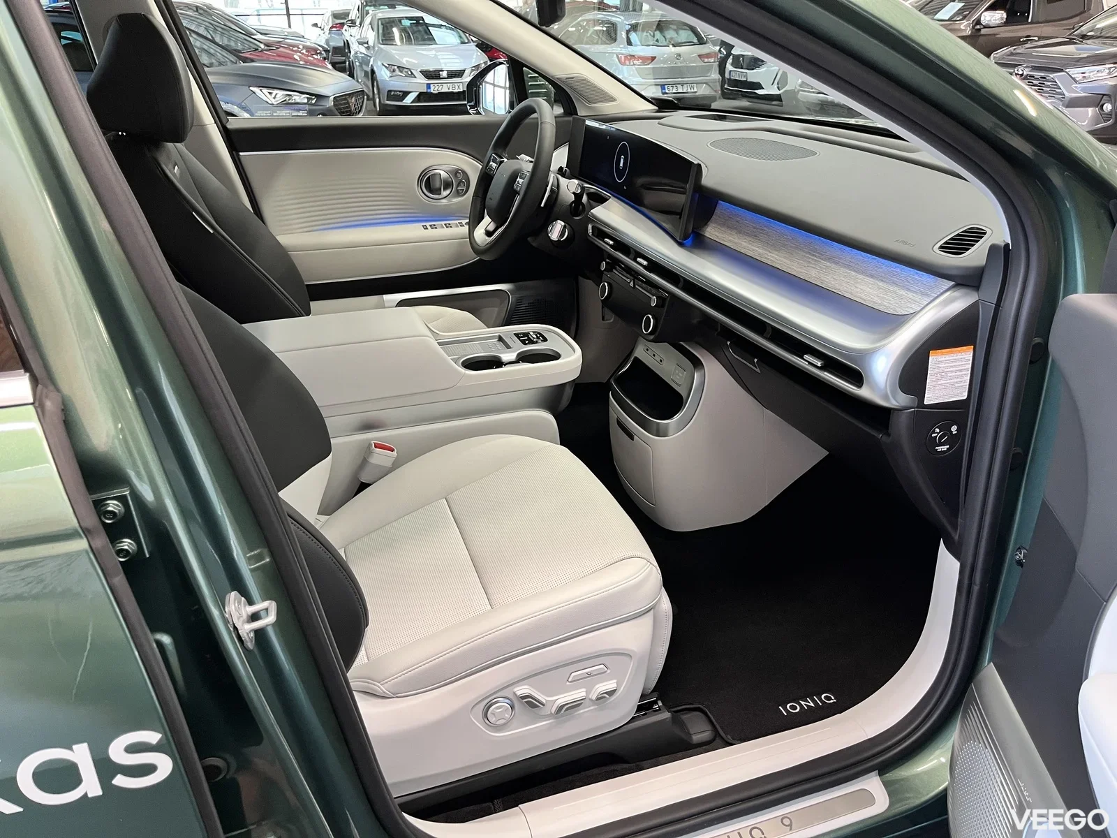 Hyundai IONIQ 9 226kW