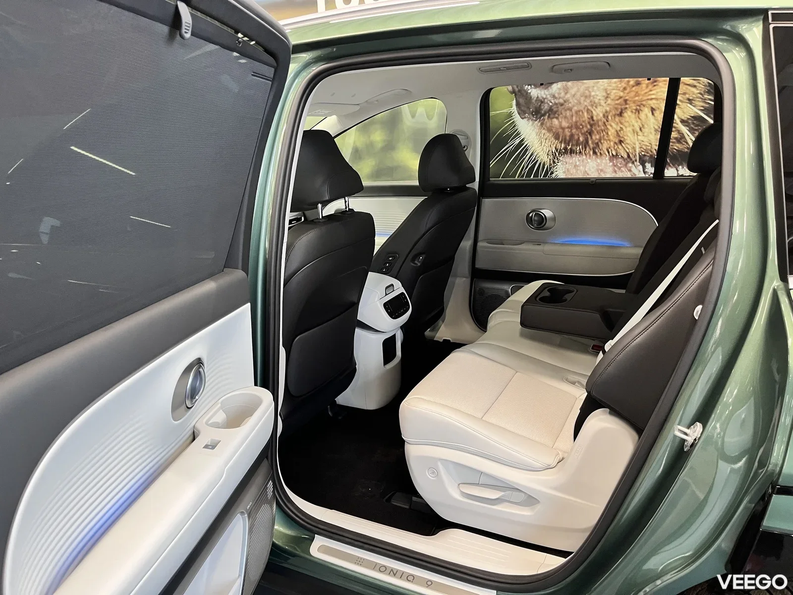 Hyundai IONIQ 9 226kW