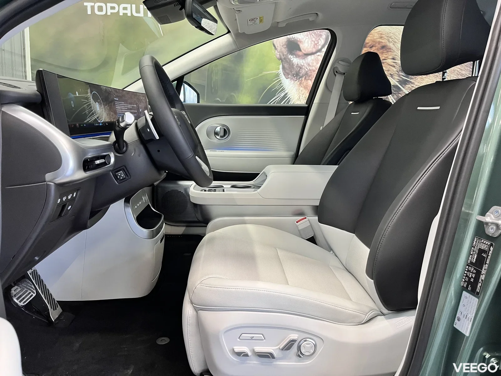 Hyundai IONIQ 9 226kW