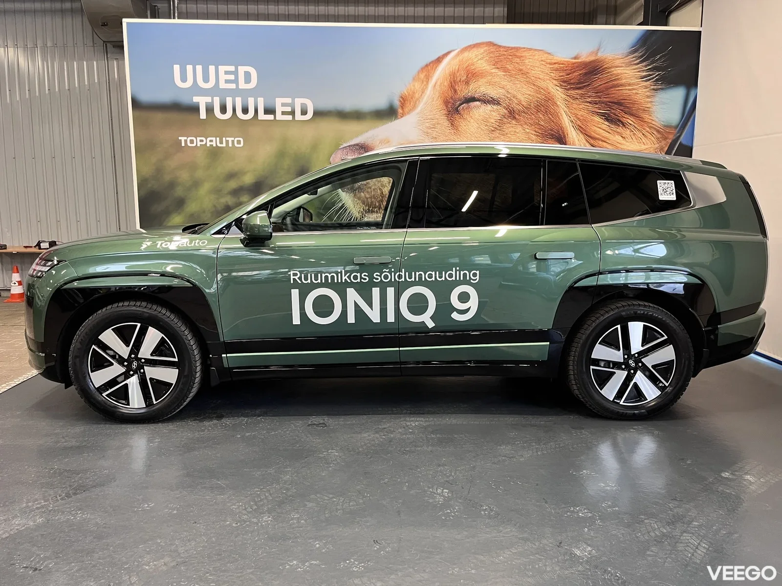 Hyundai IONIQ 9 226kW