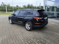 Skoda Kodiaq 110kW thumbnail