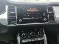 Skoda Kodiaq 110kW thumbnail