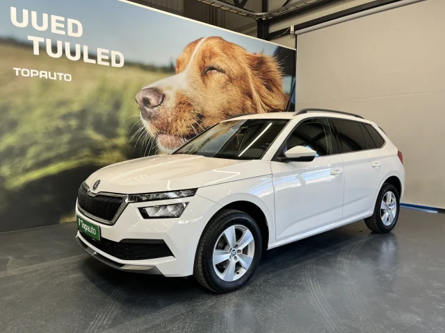 Image of Skoda Kamiq 1 66kW