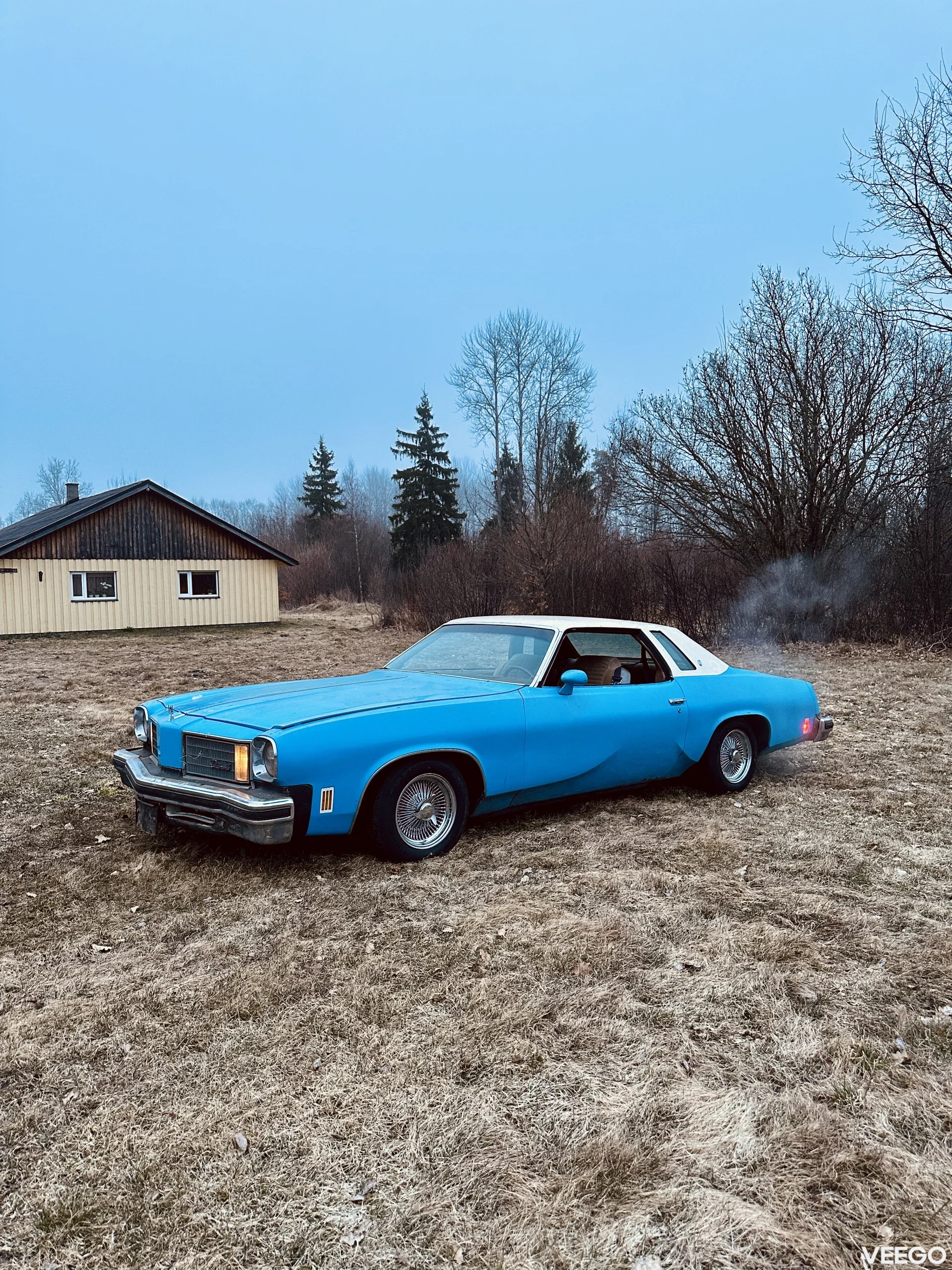 Oldsmobile Cutlass 119kW