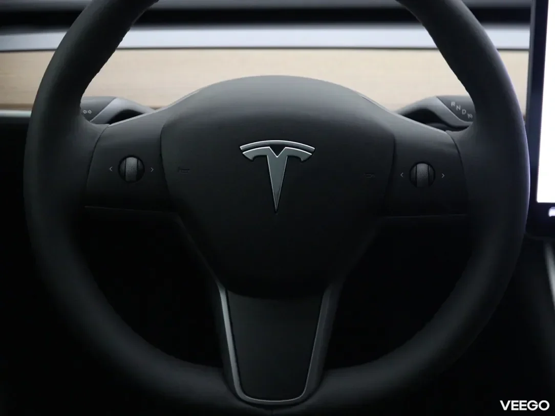 Tesla Model 3 0 239kW