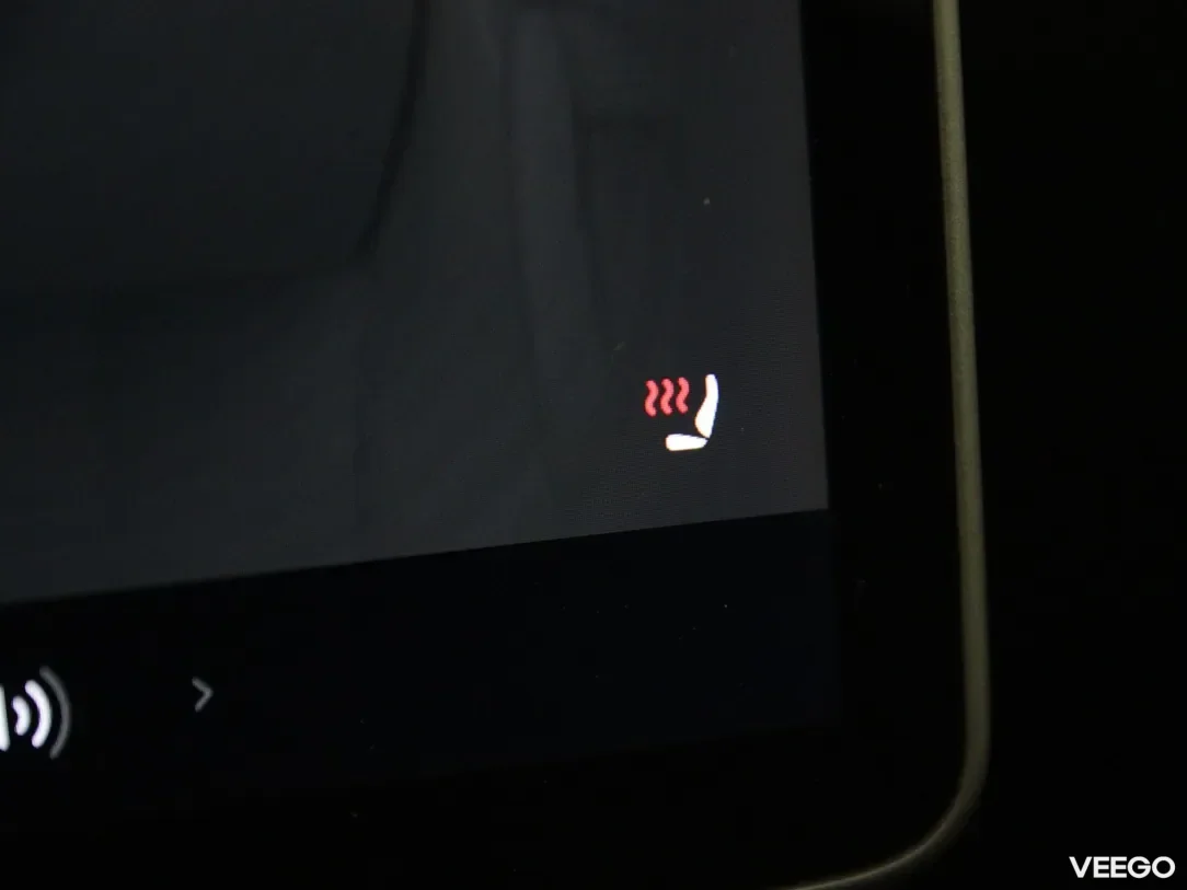 Tesla Model 3 0 239kW