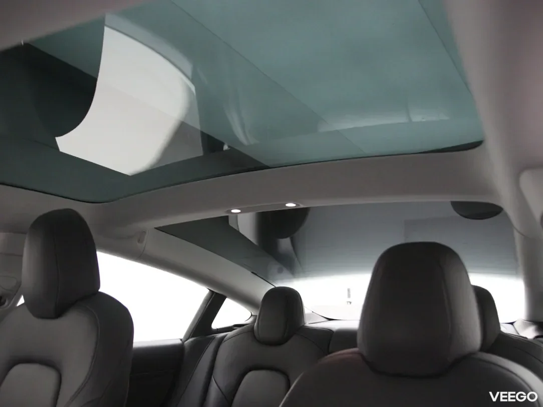 Tesla Model 3 0 239kW