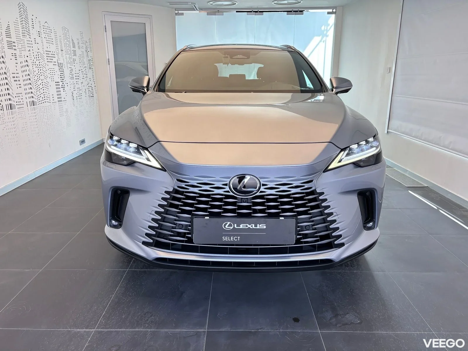 Lexus RX 450h+ - 224kW