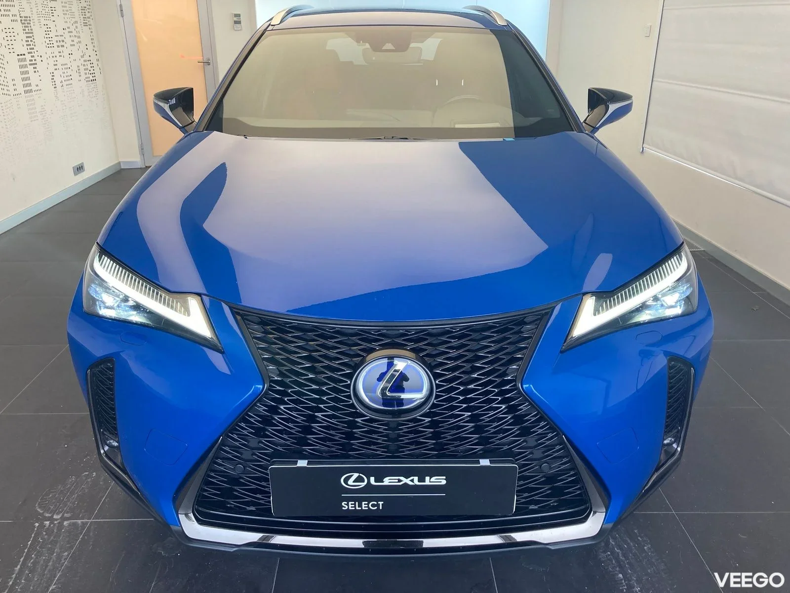 Lexus UX 250h - 112kW