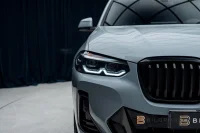 BMW X3 xDrive30e M Sport Panorama H/K B-Kamera MOMS 215kW