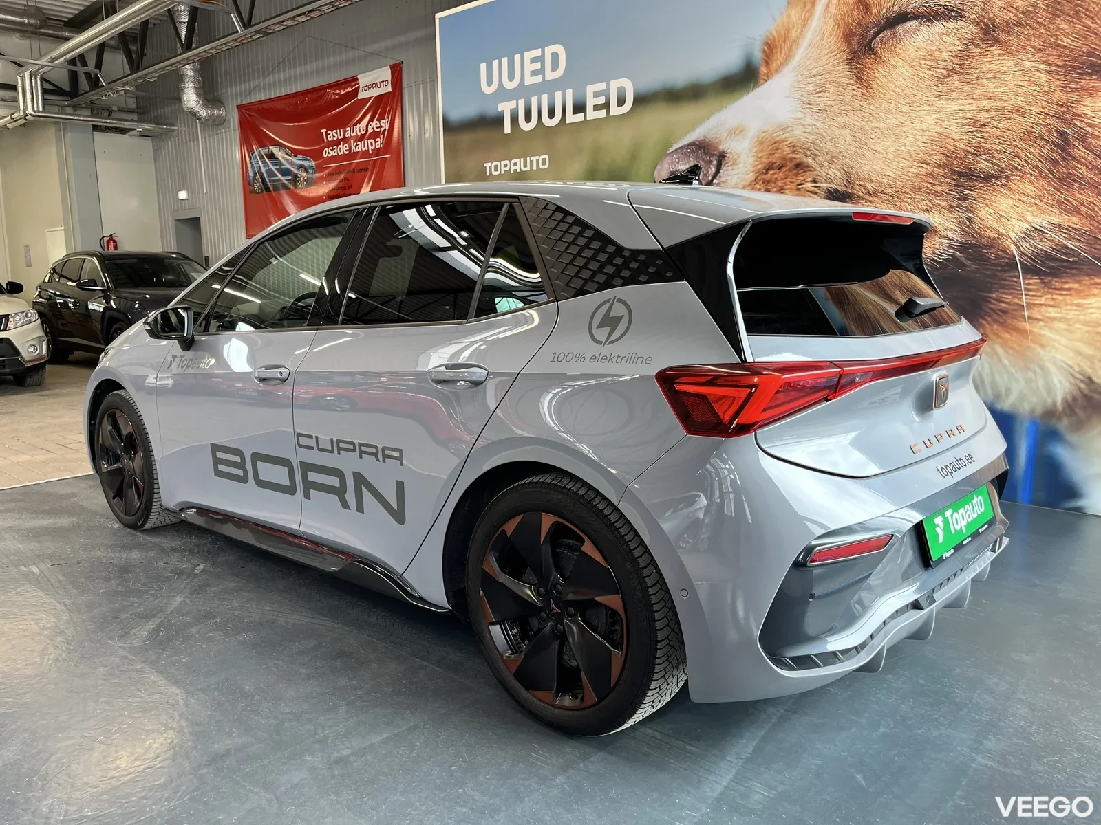 Cupra Born 70kW
