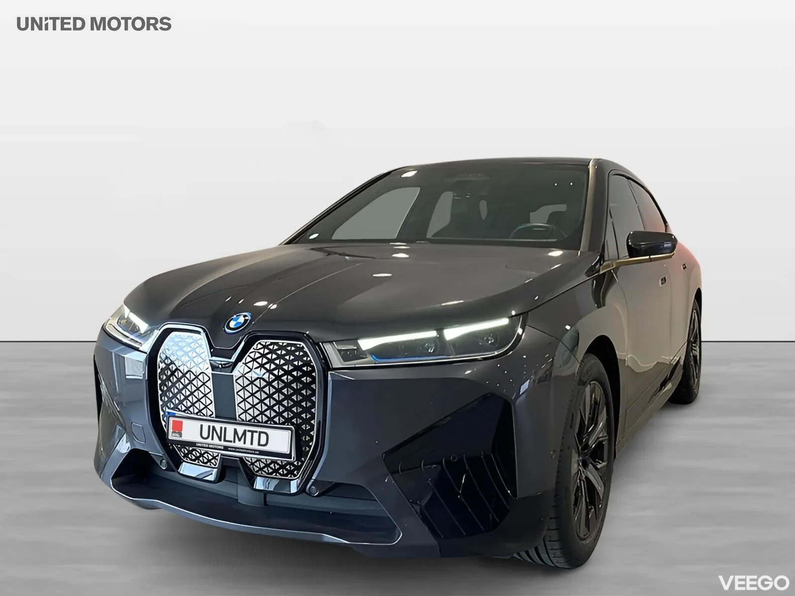 BMW iX xDrive50 Panorama H/K Driving Assistant Pro