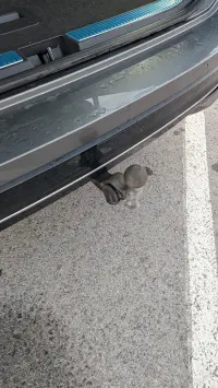 Volkswagen Passat 1.5 110kW thumbnail