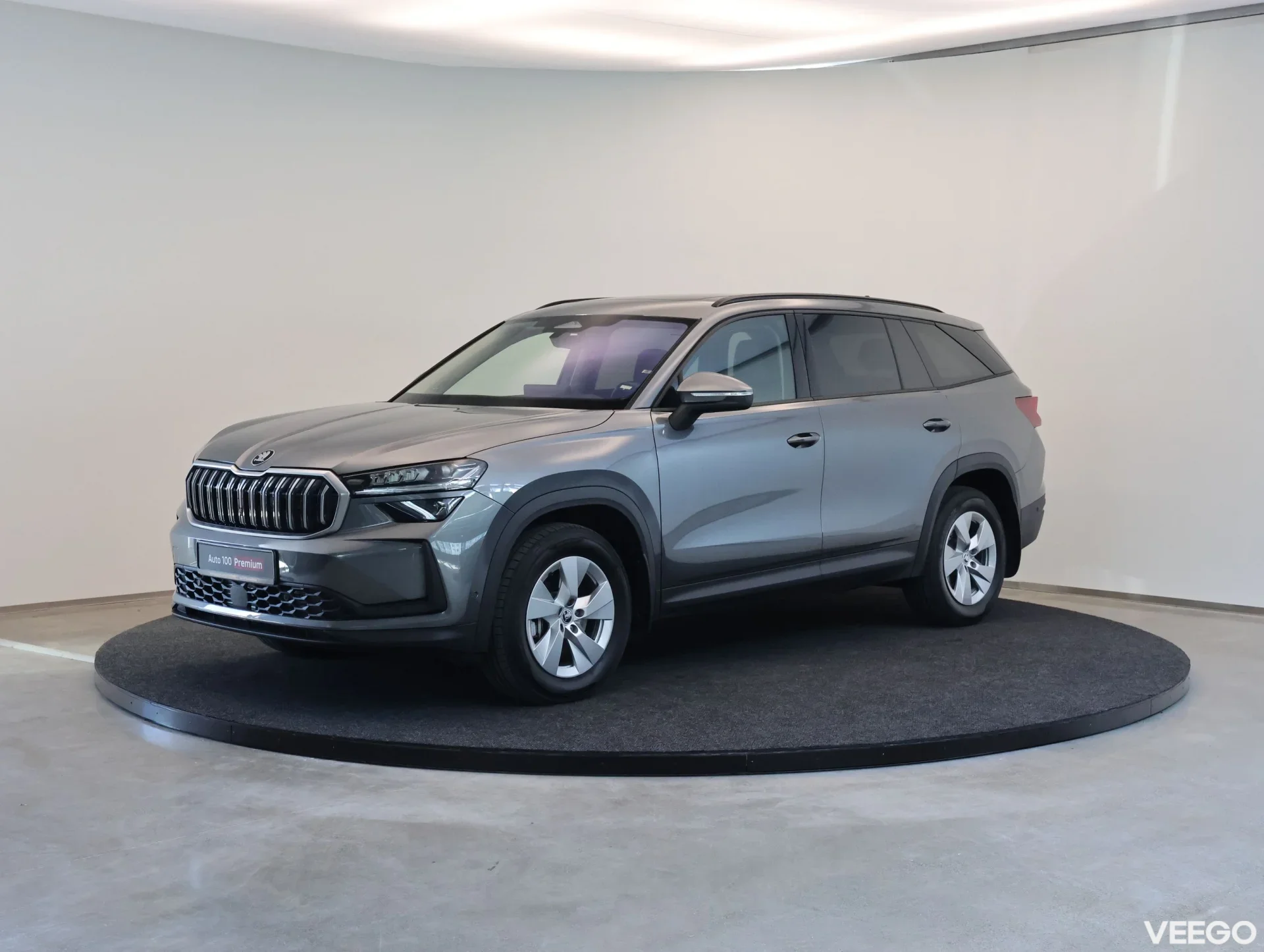 Skoda Kodiaq Selection 2,0 TDI 142kW 7-DSG 4x4 142kW
