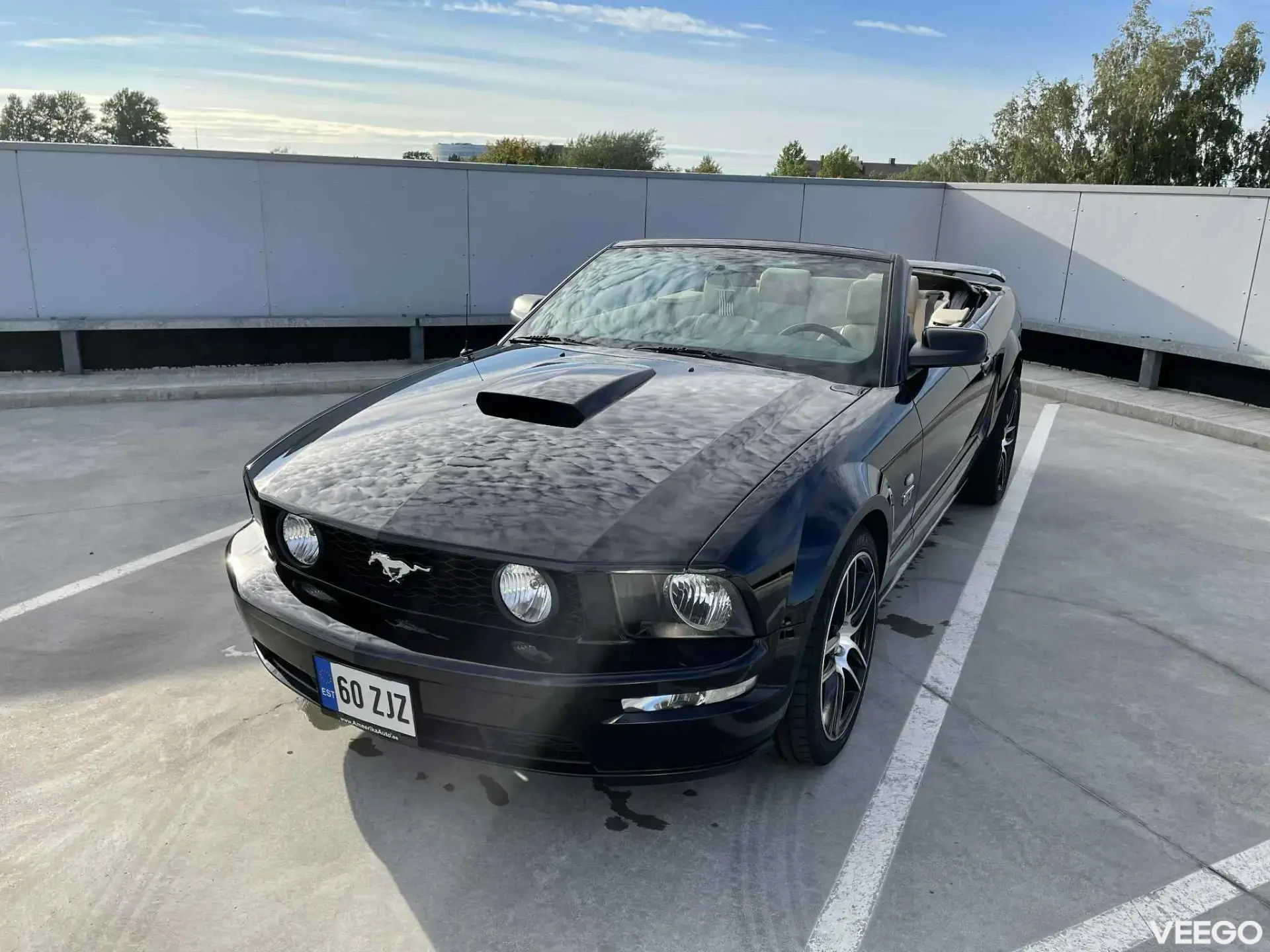 Ford Mustang GT V8 4.6 250kW