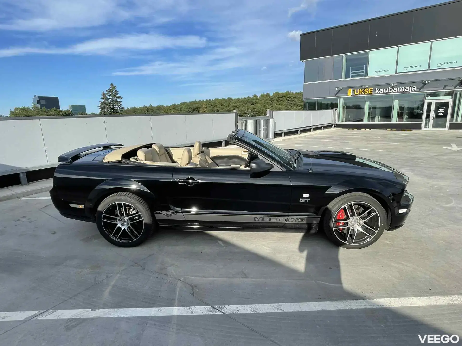 Ford Mustang GT V8 4.6 250kW