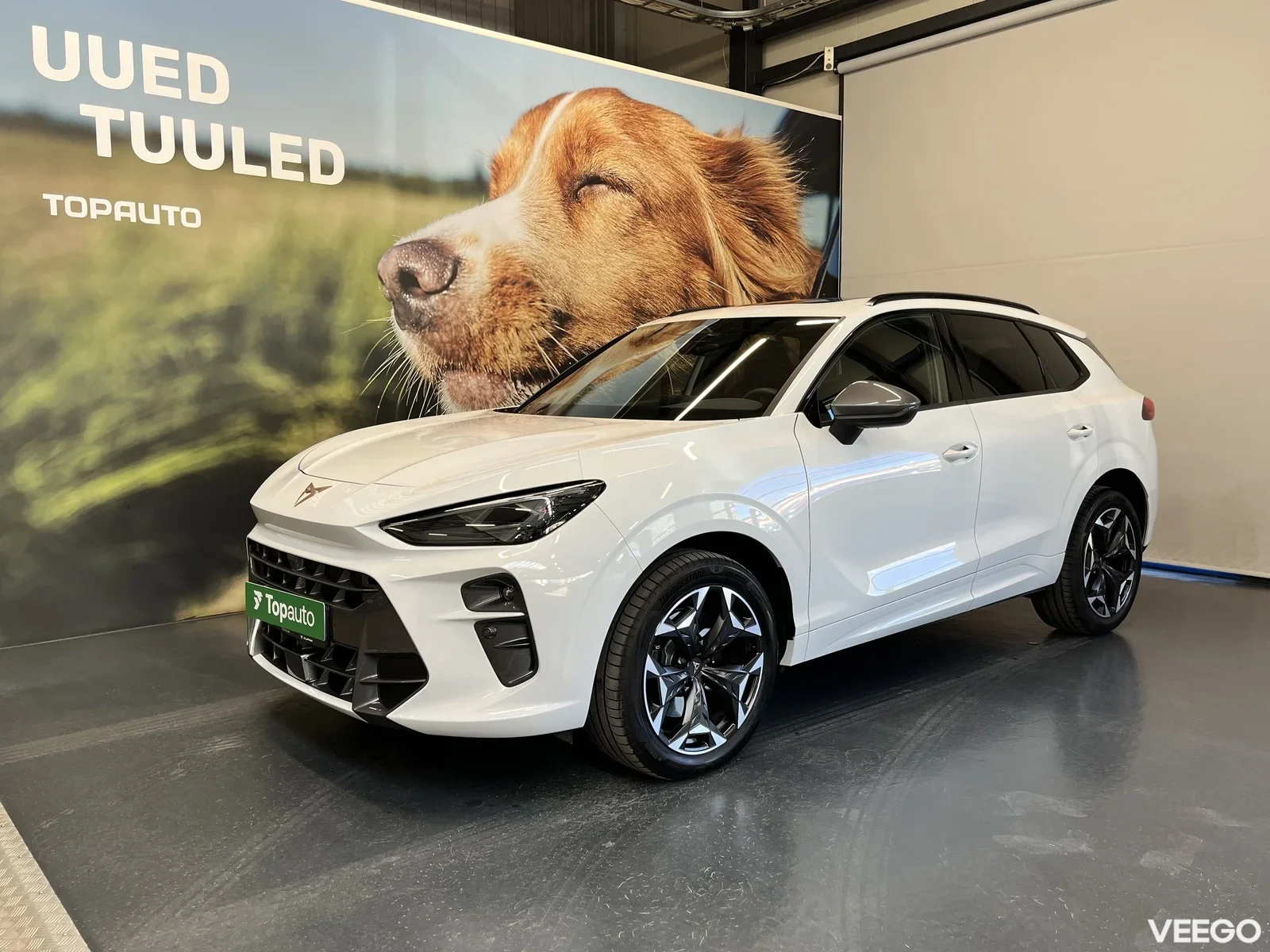 Cupra Terramar 2 195kW