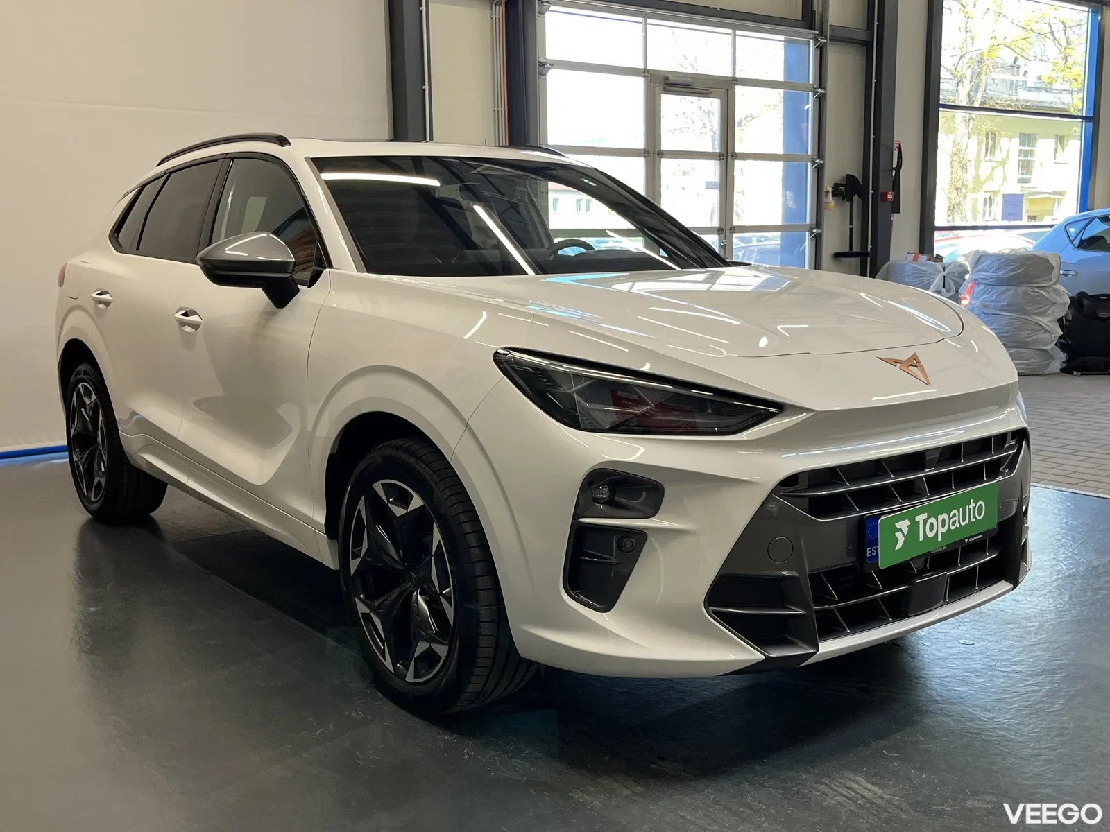 Cupra Terramar 2 195kW