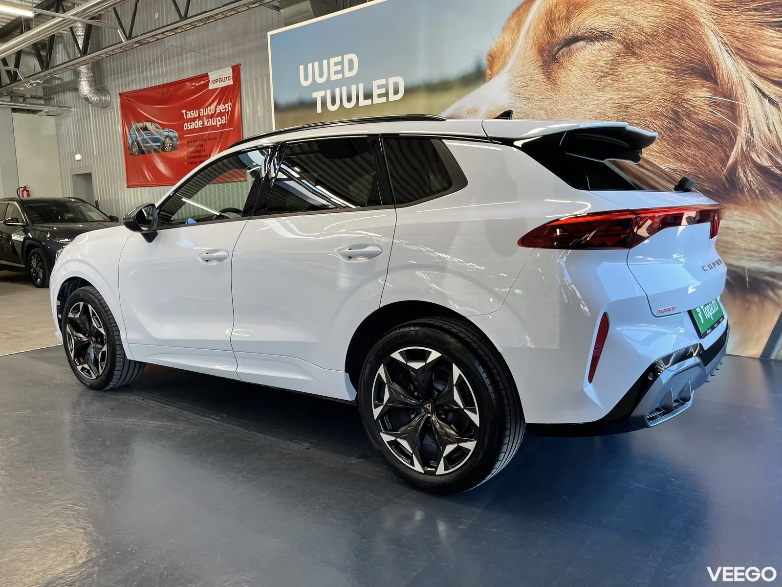 Cupra Terramar 2 195kW
