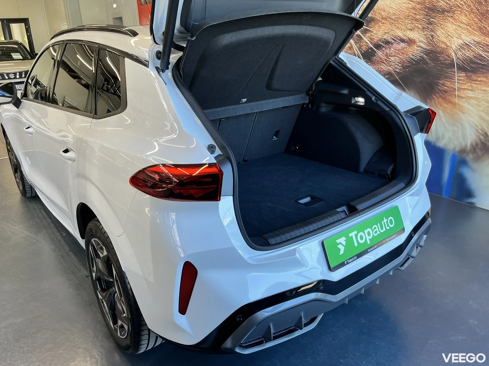 Cupra Terramar 2 195kW