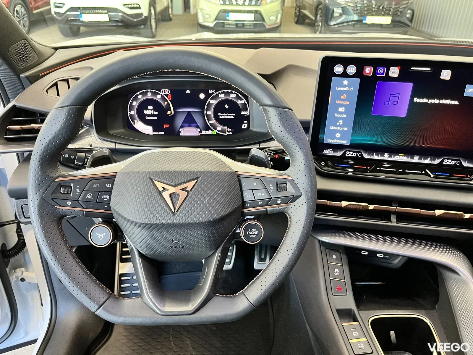 Cupra Terramar 2 195kW