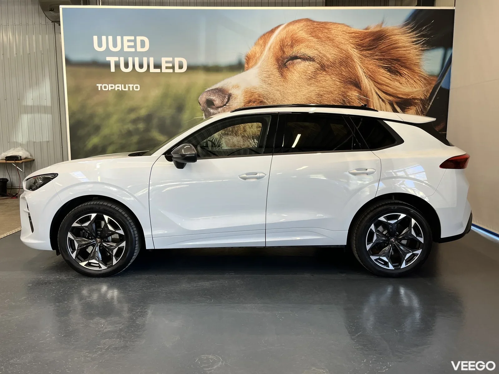 Cupra Terramar 2 195kW